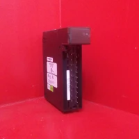 IC693ALG220/Ricondizionato